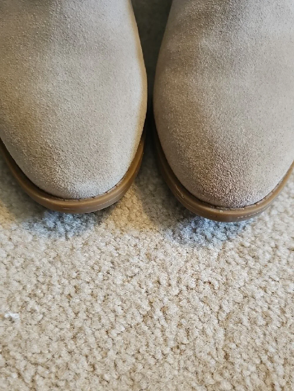 Coach Beige Suede Ankle Booties with Branded Medallion - Picture 8 of 11